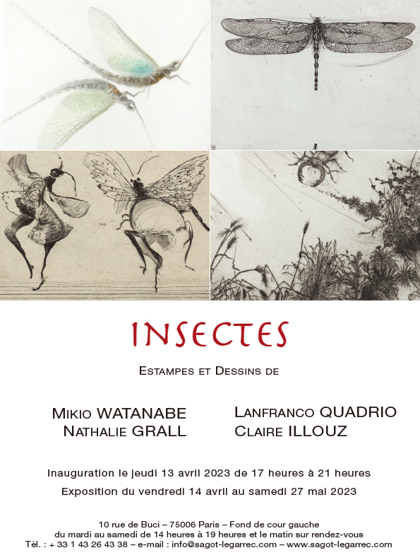 insectes - exposition Sagot-Legarrec